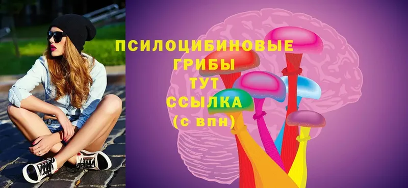 Галлюциногенные грибы MAGIC MUSHROOMS  как найти закладки  Гай 